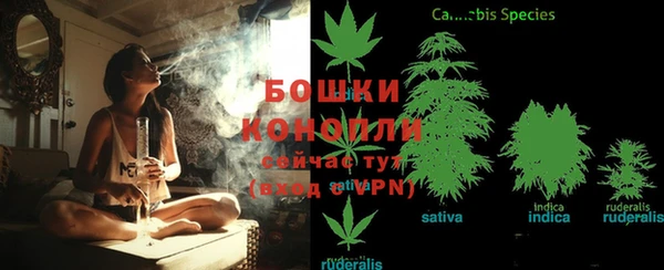 кокаин колумбия Инсар